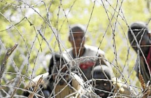 Opinion| South Africans are tired of illegal immigrants
